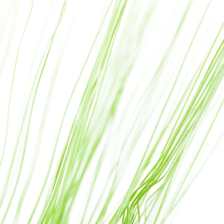 Green lines