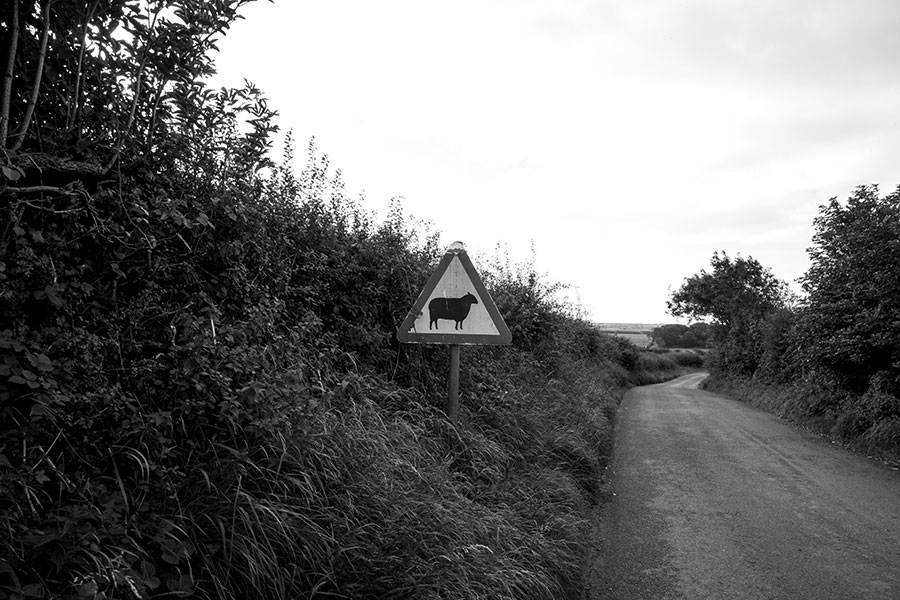 Wales - Winding roads II