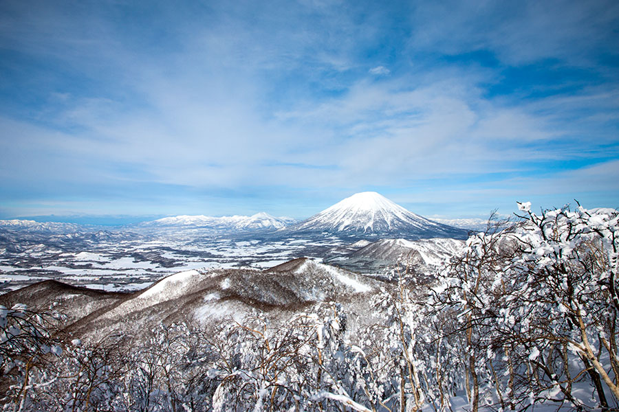 Japan - Rusutsu - snow fairy II