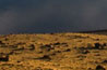 Antelope Island - Reflection