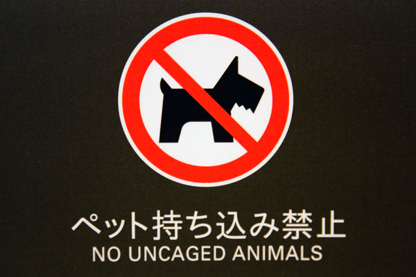 January 2006 No uncaged animals