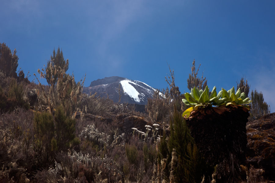 A peek at the top - Climbing Kilimanjaro